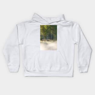 Small foggy forest pond at sunrise summer morning Kids Hoodie